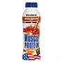 Anabolic Protein Fusion